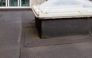 disadvantages of Chester Le Street flat roofs